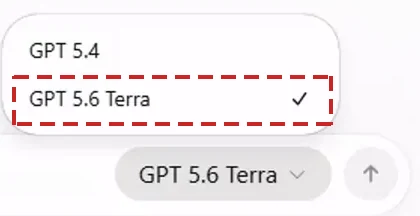 The model name is the button beside the send arrow.